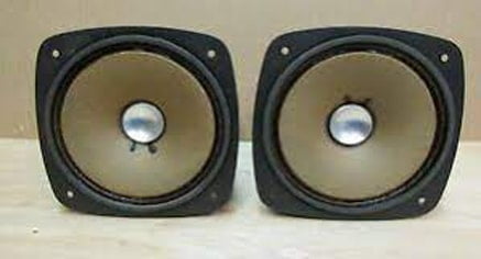 squawker speaker, types of speaker