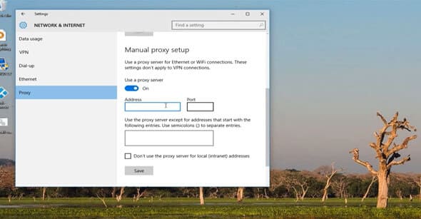 how to setup proxy server on windows